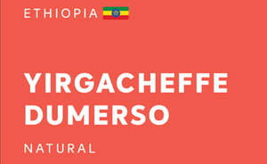 Ethiopia Yirgacheffe Dumerso G1 Natural 衣索比亞耶加雪夫杜梅索G1阿茲特爾德梅克小農精選日曬 (200g)