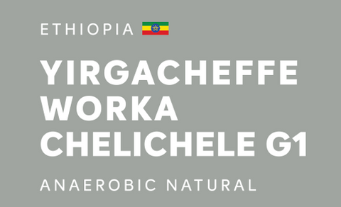Ethiopia Yirgacheffe Worka Chelichele Anaerobic G1 Natural  衣索比亞耶珈雪菲沃卡切切擂G1厭氧日曬 (100g)