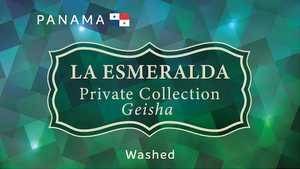 PANAMA 巴拿馬 | La Esmeralda  Private Collection Geisha Washed 翡翠莊園私人珍藏水洗藝伎