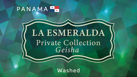 PANAMA 巴拿馬 | La Esmeralda  Private Collection Geisha Washed 翡翠莊園私人珍藏水洗藝伎