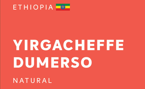 ETHIOPIA 埃塞俄比亞 | Yirgacheffe Dumerso | Natural 日曬 (200g)
