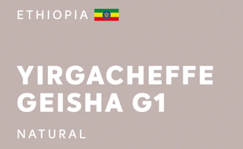 ETHIOPIA 埃塞俄比亞 | Yirgacheffe Geisha G1 Natural 日曬 (200g)
