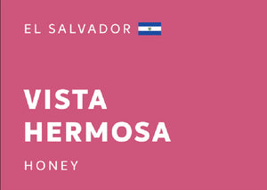 EL SALVADOR 薩爾瓦多 | Vista Hermosa 美麗的景色 | Honey 蜜處理