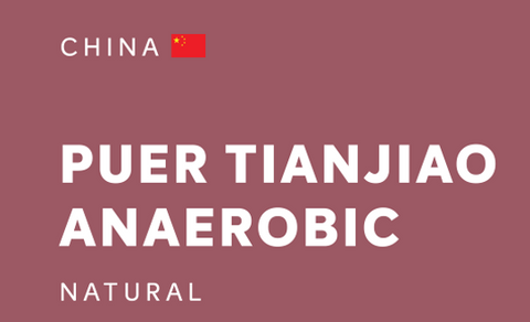 China 中國 | Yunnan 雲南 Puer 普洱市 | Tianjiao | Anaerobic Natural 厭氧日曬 (100g)