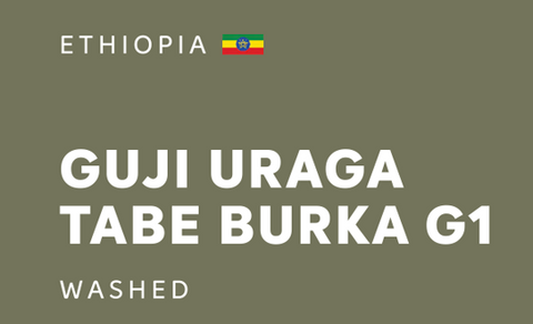 Ethiopia Guji Uraga Tabe Burka G1 Washed 衣索比亞古吉烏拉嘎提波波卡G1水洗 (200g)
