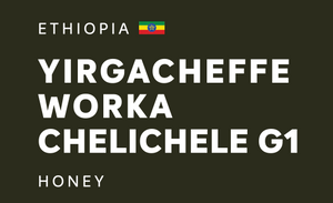 ETHIOPIA 埃塞俄比亞 | Yirgacheffe Worka Chelichele G1 | Honey 蜜處理 (200g)
