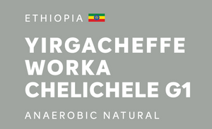 ETHIOPIA 埃塞俄比亞 | Yirgacheffe Worka Chelichele G1 | Anaerobic Natural (厭氧日曬) (100g)